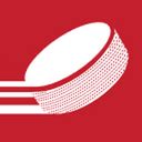nhl forum boards.